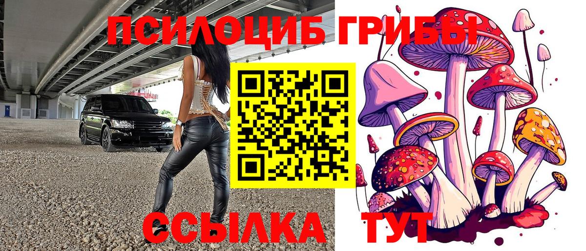 Сальск  Псилоцибиновые грибы Cubensis  Вход с VPN  Псилоцибиновые грибы GOLDEN TEACHER 