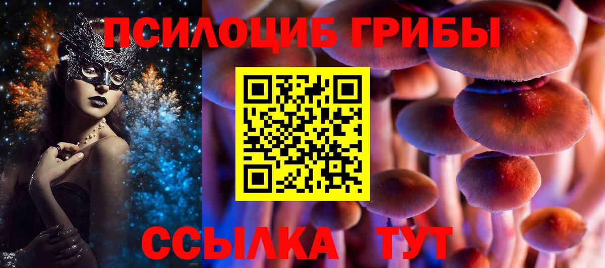 Галлюциногенные грибы мухоморы Сальск